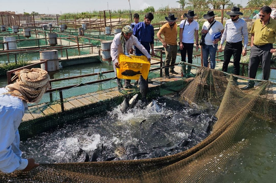 Experts from the Spanish company OX